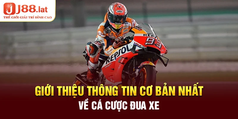 Giới thiệu thông tin cơ bản nhất về cá cược đua xe