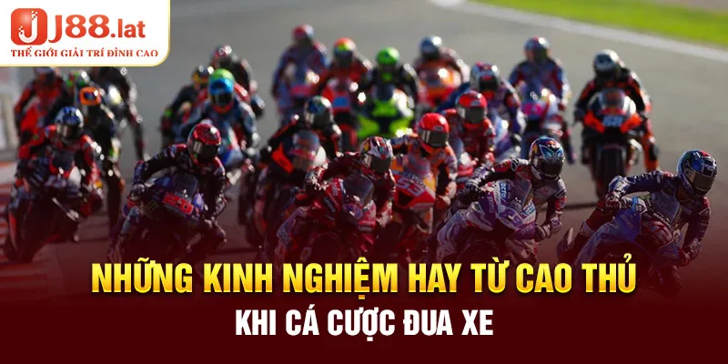 Những kinh nghiệm hay từ cao thủ khi cá cược đua xe