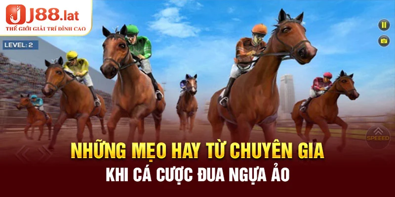 Những mẹo hay từ chuyên gia khi cá cược đua ngựa ảo